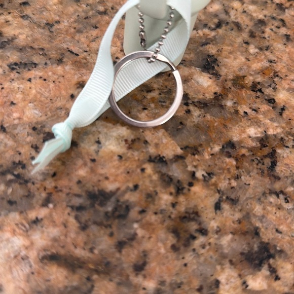 Stanley key chain accessory Mint  Green Tumbler with Straw - Picture 5 of 6